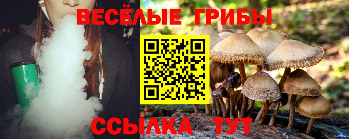 Сосновоборск  Псилоцибиновые грибы ЛСД  Галлюциногенные грибы Cubensis  Вход с VPN 